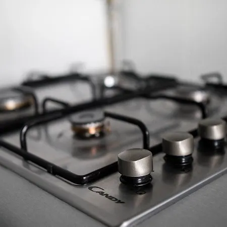 Apartamento Nadbystrzycka No.01